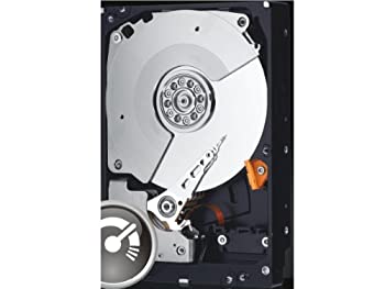 【中古-非常に良い】 Western Digital wd5003azex / Western Digital ブラックwd5003azex 500?GB 7200rpm sata3sata 6.0?GBS 64?MBハードドライブ (3.5インチ)