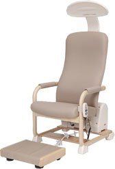 【中古-人並み外れたに好いたらしい】 ヘルストロン HEF-Hb9000T