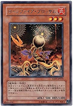 【中古-非常に良い】 遊戯王 ローンファイア・ブロッサム EXP1-JP031 レア