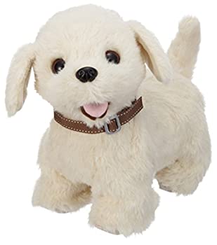 【中古-非常に良い】イワヤ(IWAYA) おいで!おいで!よってくる!部屋ともワンちゃん レトリバー 電動ぬいぐるみ おもちゃ ギフト｜IINEX