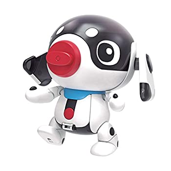 【中古-非常に良い】ポチっと発明ピカちんキット ピカちんキットS00 ピカボ