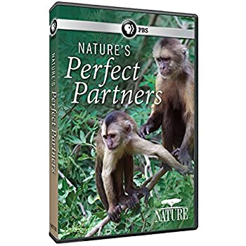 【中古-非常に良い】 Nature Nature's Perfect Partners [DVD] [輸入盤]