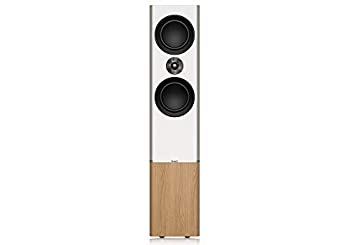 【中古-人並み外れたに好いたらしい】TANNOY(タンノイ) 立ち会い場型金棒引き [1本] 白いこと PLATINUM F6 W