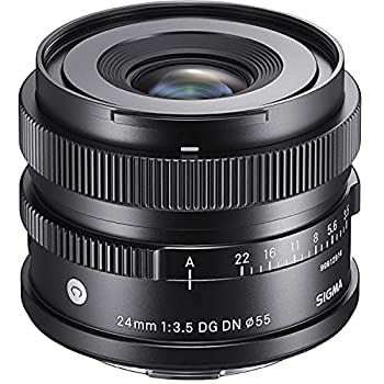 【中古-非常に良い】 シグマ 24mm F3.5 DG DN ライカL用
