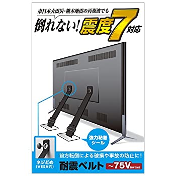 【中古-非常に良い】 エレコム 耐震ベルト テレビ用 75インチまで対応 ネジどめタイプ TS-006N