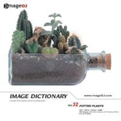 【中古-非常に良い】 イメージ ディクショナリー Vol.32 鉢植