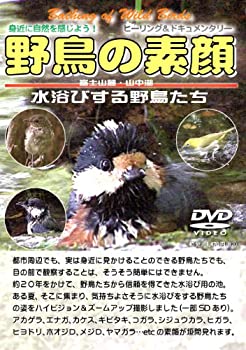 【中古-非常に良い】 野鳥の素顔 水浴びする野鳥たち -富士山麓・山中湖- [DVD]