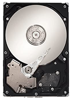 【中古-人並み外れたに好いたらしい】 Seagate ST3500320NS BARRACUDA ES 500GB 7200RPM 32MB BUFFER SERIAL ATA II/300 3.5INCH