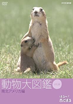 【中古-非常に良い】 はろ~!あにまる 動物大図鑑 5 南北アメリカ編 [DVD]｜IINEX
