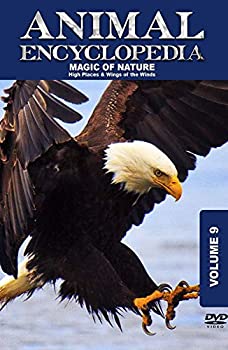 【中古-非常に良い】 Animal Encyclopedia 9 High Places & Wings of [DVD] [輸入盤]