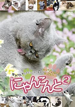 【中古-非常に良い】にゃんこんと2~キャット驚くオモシロねこ動画 ホントはこんなこと言ってたりして~ [DVD]