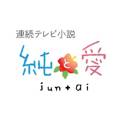 【中古-非常に良い】連続テレビ小説 純と愛 総集編 [DVD]