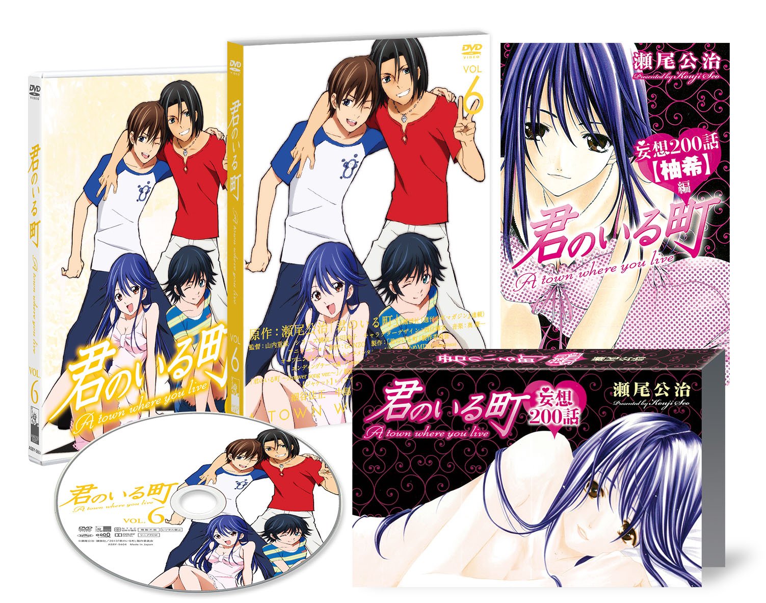 【中古-非常に良い】君のいる町 Vol.6 〔特典:瀬尾公治描き下ろしマンガ! 「妄想200話」/妄想200話全巻収納スペシャル・バインダー〕 [DVD]｜IINEX