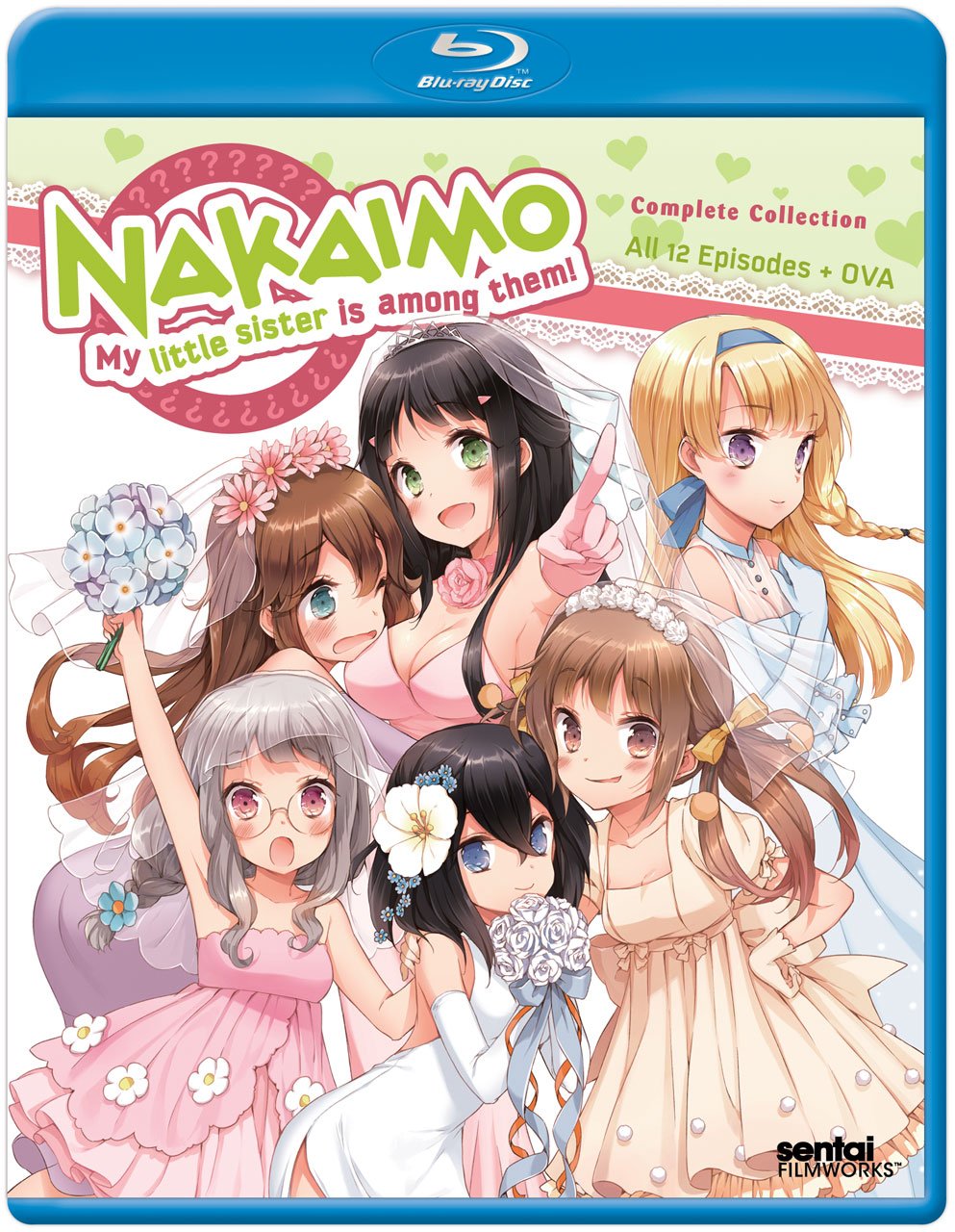 【中古-非常に良い】この中に1人、妹がいる!|IINEX