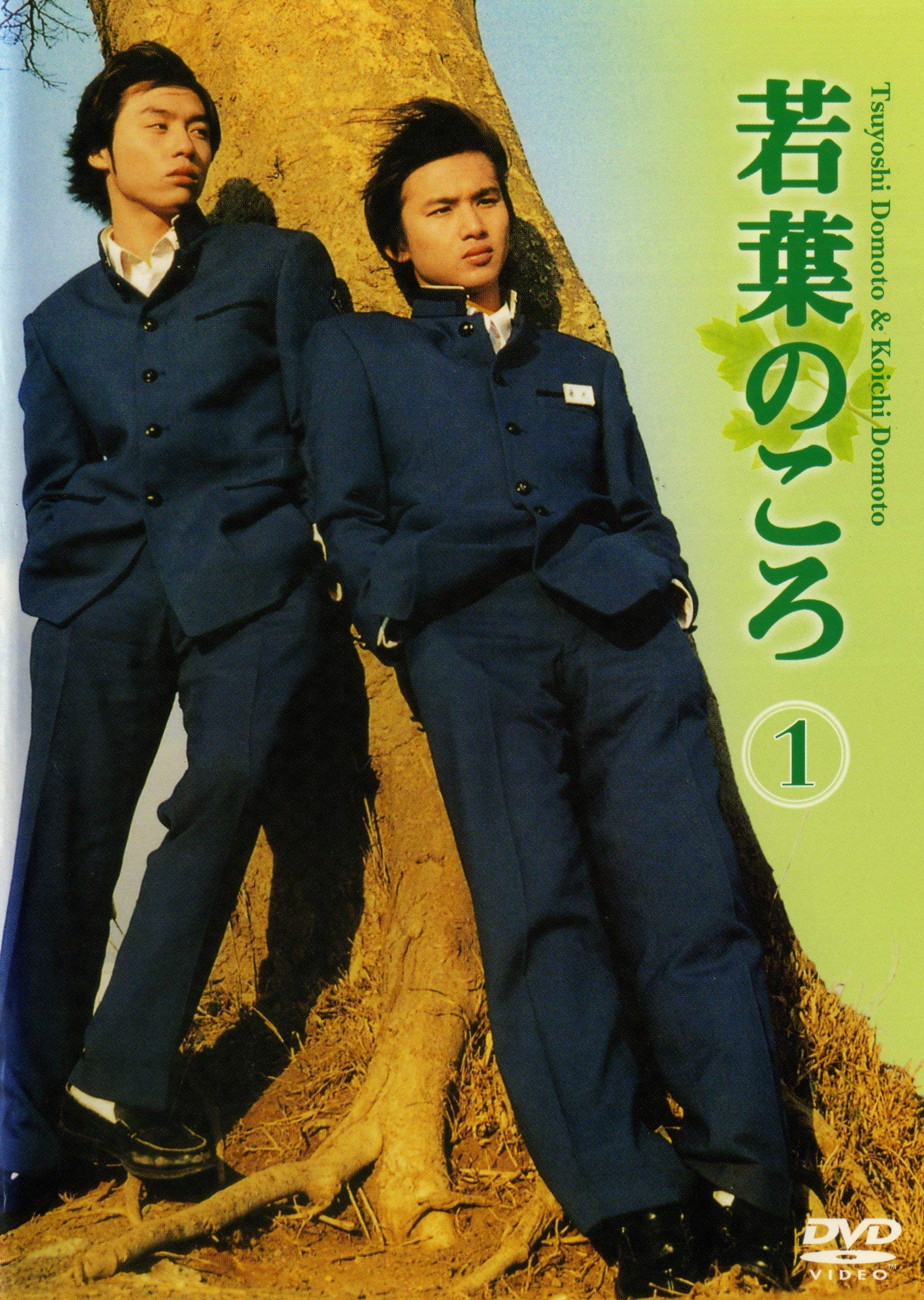 【中古-非常に良い】若葉のころ [レンタル落ち] (全6巻) [マーケットプレイス DVDセット商品]