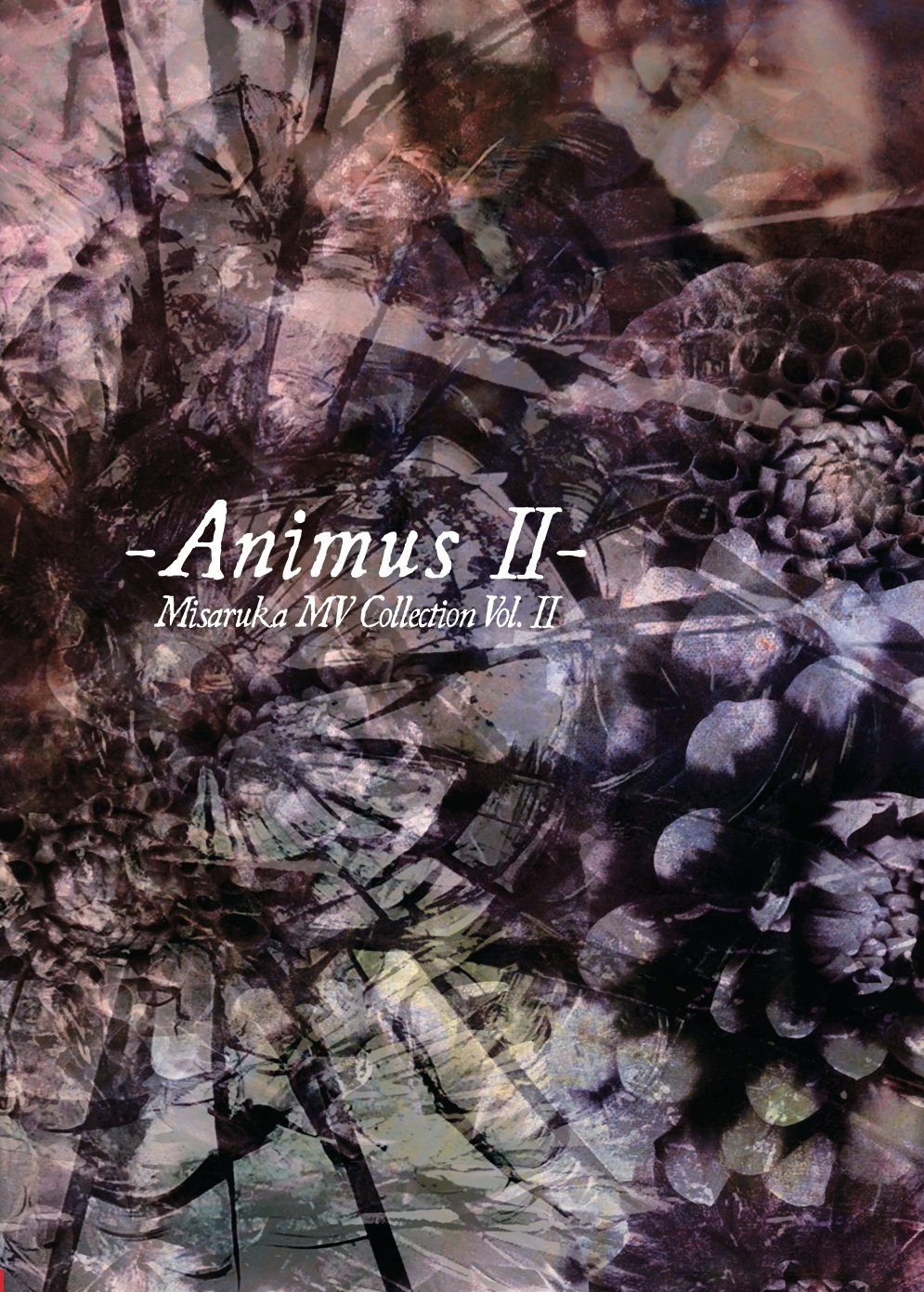【中古-非常に良い】-Animus II- [DVD]