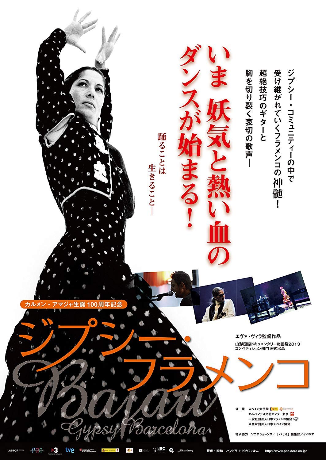 【中古】ジプシー・フラメンコ [DVD]｜IINEX