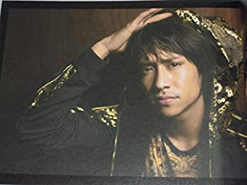 【中古】 2014年公演パンフレット 殺風景 シアターコクーン 八乙女光 大倉孝二 荻野目慶子 安藤聖 西岡徳馬 キムラ緑子 5,963円