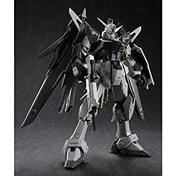 【中古】 RG 1/144 ZGMF-X42S デスティニーガンダム ディアクティブモード プラモデル (プレミアムバンダイ限定)