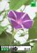 【中古】 Photobit 17 夏の花
