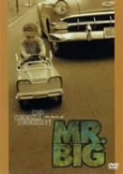 【中古】 グレイテスト・ビデオ・ヒッツ [DVD]