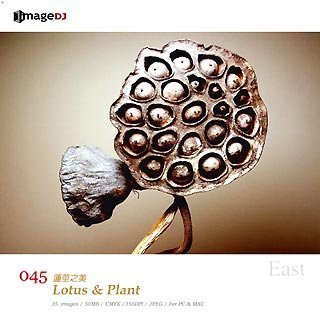 【中古】 EAST vol.45 蓮と植物 Lotus & Plant