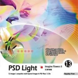 【中古】 ピーエスディ 点火装置 Vol.13 空想に耽る花