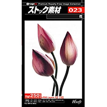 【中古】 ストック素材 023 花