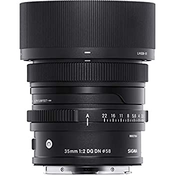 【中古】 35mm F2 DG DN ソニーE用 67,568円