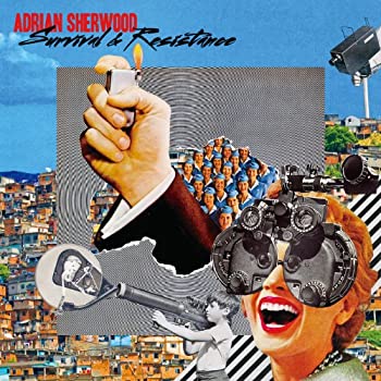 【中古】 Survival & Resistance [解説・ボーナストラック1曲収録 / 国内盤] (BRC342)