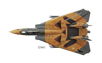 【中古】ハセガワ エースコンバット F-14D トムキャット パンプキンフェイス 1/72スケール プラモデル SP309|IINEX