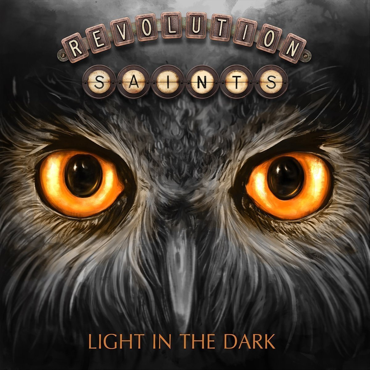 【中古】LIGHT IN THE DARK [CD]