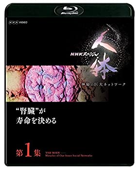 【中古】 NHKスペシャル 人体 神秘の巨大ネットワーク 第1集 腎臓が寿命を決める [Blu-ray] 11,645円