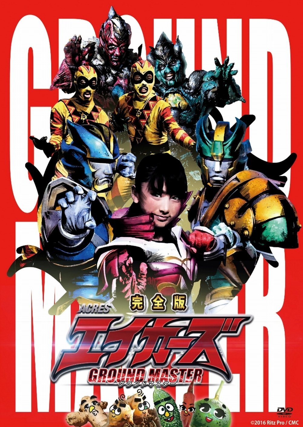 【中古-非常に良い】エイカーズ グランドマスター 完全版 [DVD]｜IINEX