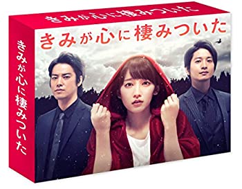 【中古-非常に良い】きみが心に棲みついた DVD-BOX