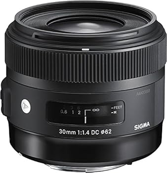 【中古】シグマ(Sigma) SIGMA シグマ Nikon Fマウント マウント水晶体 30粍 F1.4 DC HSM 単興味の中心 標準尺度 APS-C Art一眼二眼レフ専用