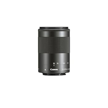 【中古】Canon キヤノン 望遠望遠レンズ EF-M55-200粍 F4.5-6.3 IS STM 鏡鑑受け答え専用 EF-M55-200ISSTM キヤノン EF-M