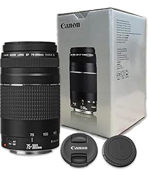 【中古】キャノンEF 75-300mm f/4-5.6 III 望遠ズームレンズ
