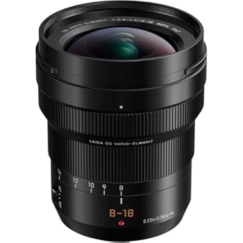 【中古】Panasonic LUMIX Professional 8-18粍 写真機水晶体 G LEICA DG VARIO-ELMARIT F2.8-4.0 ASPH 鏡鑑レスマイクロフォーサーズ H-E08018 (ブラッ