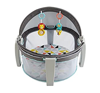 【中古】(人並み外れたに好いたらしい)フィッシャー通貨価値 携帯型 ベビードーム FVD22