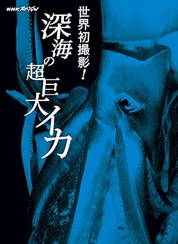 【中古】NHKスペシャル 世界初撮影! 深海の超巨大イカ [DVD]