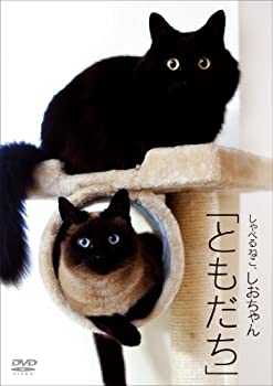【中古】しゃべるねこ、しおちゃん「ともだち」 [DVD]