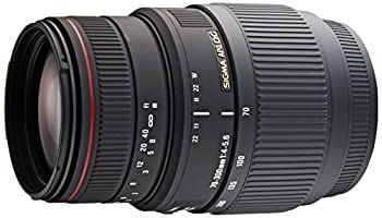 【中古】(非常に良い)SIGMA 望遠ズームレンズ APO 70-300mm F4-5.6 DG MACRO ソニー用 フルサイズ対応 508340｜IINEX