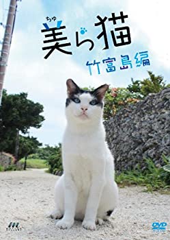 【中古】(非常に良い)美ら猫(ちゅら猫)竹富島編 [DVD]