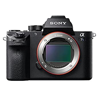 【中古】ソニー SONY フルサイズミラーレス一眼 α7S 上半身 ILCE-7S