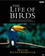 【中古】BBC ライフ・オブ・バーズ／鳥の世界 DVD-BOX