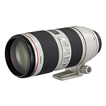 【中古】Canon 望遠ズームレンズ EF70-200mm F2.8L IS II USM フルサイズ対応