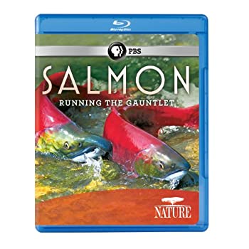 【中古】Nature: Salmon [Blu-ray] [Import]