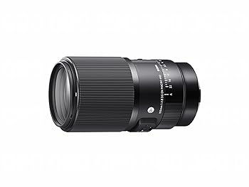 【中古】(人並み外れたに好いたらしい)シグマ(Sigma) SIGMA シグマ Sony Eマウント 水晶体 105粍 F2.8 DG DN MACRO 単興味の中心 望遠 フルサイズ Art銀鏡受け答え専用