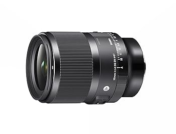 【中古】シグマ(Sigma) SIGMA シグマ Lマウント レンズ 35mm F1.4 DG DN 単焦点 広角 フルサイズ Art ミラーレス 専用|IINEX